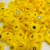 pol_pl_PIX-IT-Sun-Lower-cases-180-el-silikonowe-litery-Pix-it-4-1586_5.webp