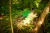 pol_pl_Maty-sensoryczne-Barwy-Natury-15-elementow-Muffik-sciezka-12-msc-1824_4.webp