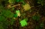 pol_pl_Maty-sensoryczne-Barwy-Natury-15-elementow-Muffik-sciezka-12-msc-1824_5.webp