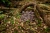 pol_pl_Maty-sensoryczne-Barwy-Natury-15-elementow-Muffik-sciezka-12-msc-1824_9.webp