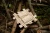 pol_pl_Muffik-Barwy-Natury-maty-o-roznych-strukturach-6-el-12-msc-1837_5.webp