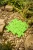pol_pl_Muffik-Barwy-Natury-maty-o-roznych-strukturach-6-el-12-msc-1837_10.webp