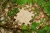 pol_pl_Muffik-Barwy-Natury-maty-o-roznych-strukturach-6-el-12-msc-1837_2.webp