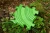 pol_pl_Muffik-Barwy-Natury-maty-o-roznych-strukturach-6-el-12-msc-1837_3.webp