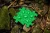pol_pl_Muffik-Barwy-Natury-maty-o-roznych-strukturach-6-el-12-msc-1837_7.webp