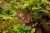 pol_pl_Muffik-Barwy-Natury-zestaw-9-mat-sensorycznych-12-msc-1838_1.webp