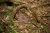 pol_pl_Muffik-Barwy-Natury-zestaw-9-mat-sensorycznych-12-msc-1838_2.webp