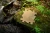 pol_pl_Muffik-Barwy-Natury-zestaw-9-mat-sensorycznych-12-msc-1838_3.webp