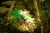 pol_pl_Muffik-Barwy-Natury-zestaw-9-mat-sensorycznych-12-msc-1838_5.webp