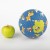 6846d31e96db3-natural-rubber-ball-forest.jpeg