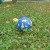 6846d31e97f0f-natural-rubber-ball-forest.jpeg