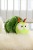 6846e3e63e835-vibrating-caterpillar-playq.jpeg