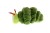 6846e3e63f8d6-vibrating-caterpillar-playq.jpeg
