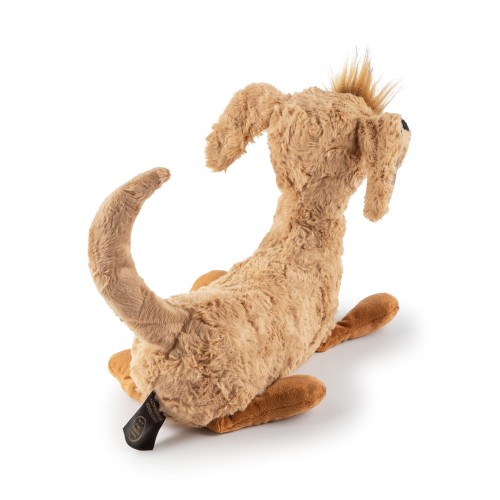 6846f46c04c8a-sausage-schorschi-dachshund-beaststown.jpeg