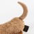 6846f46c0a5a5-sausage-schorschi-dachshund-beaststown.jpeg