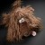 6846f4ae3597e-zottle-lottle-dog-beaststown.jpeg