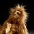 6846f5104e122-trudel-turde-ii-sloth-beaststown.jpeg
