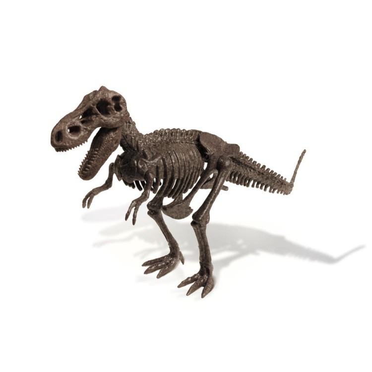 Szkielet T-REX 34 cm Wyprawa Paleontologiczna dinozaur Geoworld