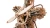 Drewniany-Model-Mechaniczny-3D-Ugears--Silnik-Lotniczy-R-5.webp