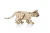 Drewniana-figurka-Kotek--4-mechaniczne-puzzle-3d.webp