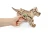 Drewniana-figurka-Szczeniak--4mechaniczne-puzzle-3d.webp