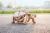 Drewniana-figurka-Zolw--9mechaniczne-puzzle-3d.webp