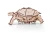 Drewniana-figurka-Zolw--4mechaniczne-puzzle-3d.webp