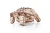 Drewniana-figurka-Zolw--2mechaniczne-puzzle-3d.webp