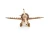Drewniany-model-4samolotu-346-el.-drewniane-puzzle-3d.webp