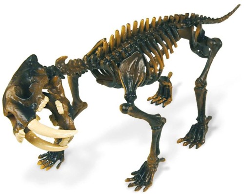 TYGRYS SZABLOZĘBNY góra lodowa Epoka Lodowcowa 23 cm szkielet Geoworld