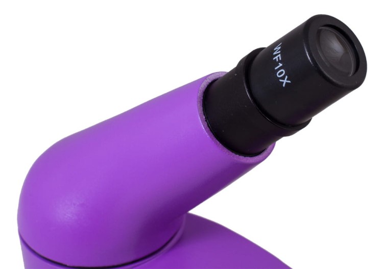 Mikroskop Rainbow 50L Amethyst fioletowy Levenhuk + GRATIS zestaw K50 do eksperymentów