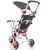 trehkolesnyj-velosiped-strollcycle-galileo1.jpg