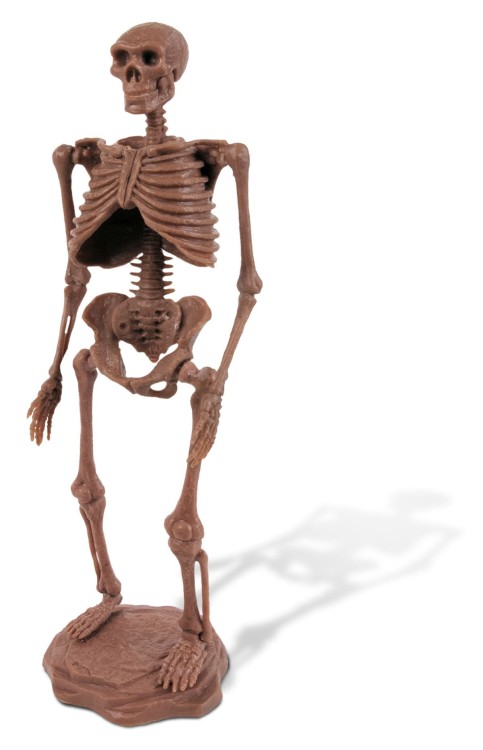 Szkielet CZŁOWIEK NEANDERTALSKI 21cm Wyprawa Paleontologiczna Geoworld