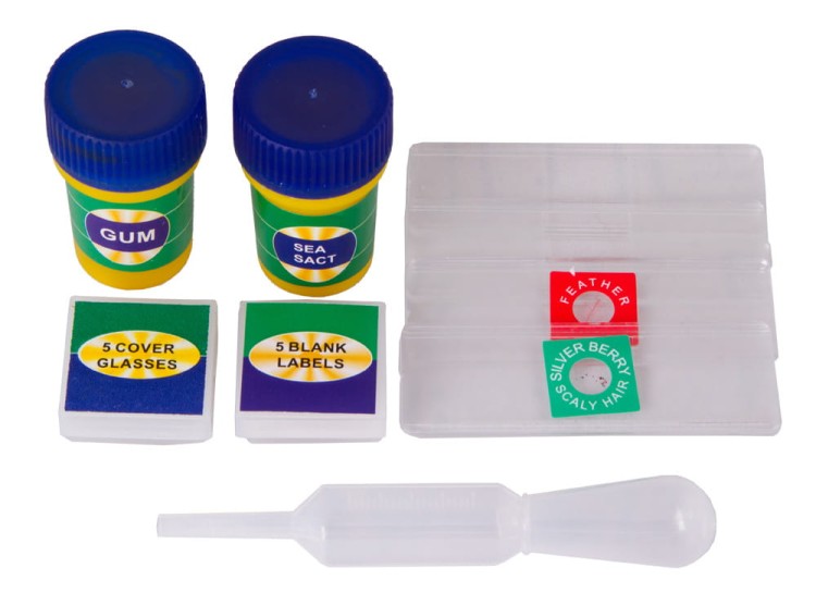 Mikroskop Levenhuk LabZZ M1 powiększenie 100-300x
