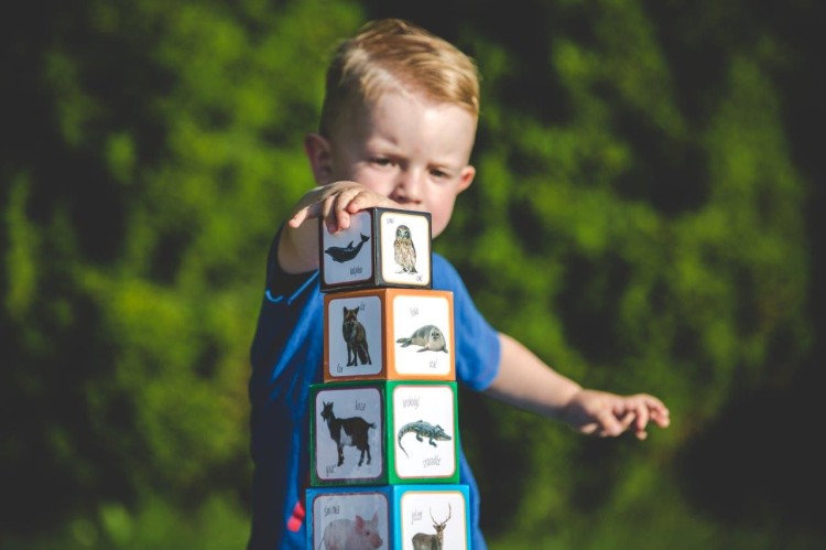 Piramida zabaw ZWIERZĘTA - Montessori