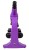 Mikroskop Rainbow 50L Amethyst fioletowy Levenhuk + GRATIS zestaw K50 do eksperymentów