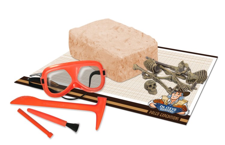 Szkielet CZŁOWIEKA NEANDERTALSKIEGO 21 cm DELUXE Wyprawa Paleontologiczna duży zestaw dinozaur Geoworld