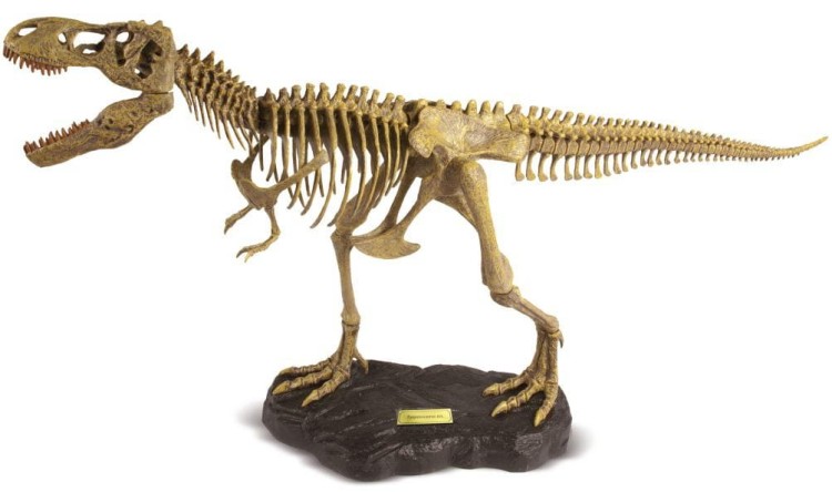  Megazestaw T-REX szkielet 76 cm Wyprawa Paleontologiczna dinozaur Geoworld