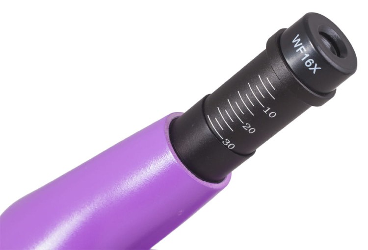 Mikroskop Rainbow 50L PLUS Amethyst fioletowy Levenhuk + GRATIS zestaw K50 do eksperymentów