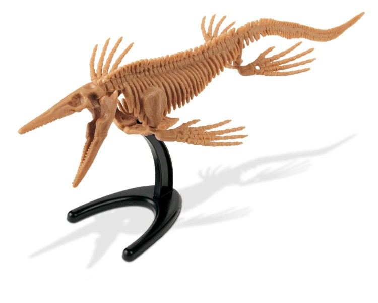 Szkielet MOSOSAURUS 36 cm Wykopaliska dinozaur Geoworld