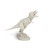 T-REX model dinozaura 25 cm do złożenia i malowania Geoworld