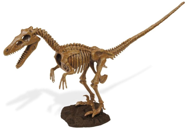 Jajo dinozaura szkielet VELOCIRAPTOR 27cm Geoworld
