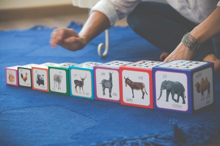 Piramida zabaw ZWIERZĘTA - Montessori
