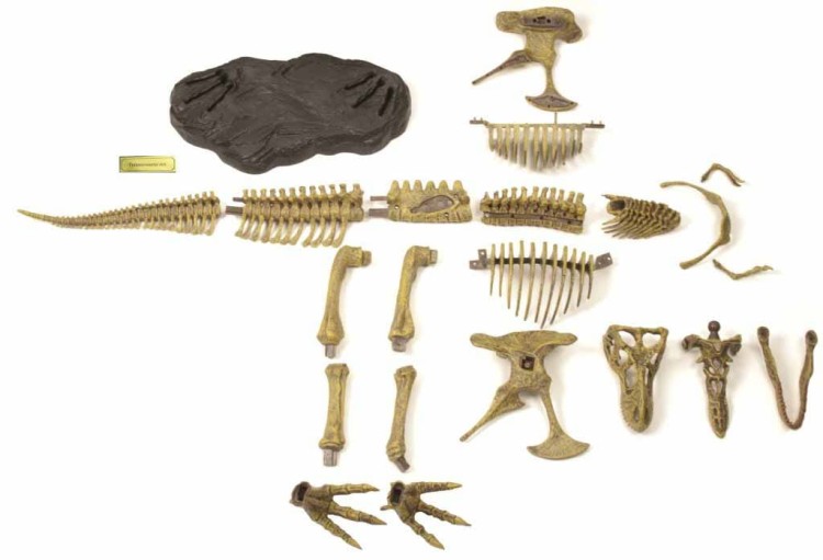  Megazestaw T-REX szkielet 76 cm Wyprawa Paleontologiczna dinozaur Geoworld