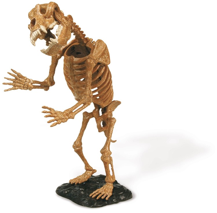 Szkielet NIEDŹWIEDŹ JASKINIOWY 21 cm DELUXE Wyprawa Paleontologiczna duży zestaw dinozaur Geoworld