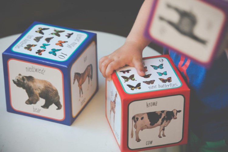 Piramida zabaw ZWIERZĘTA - Montessori