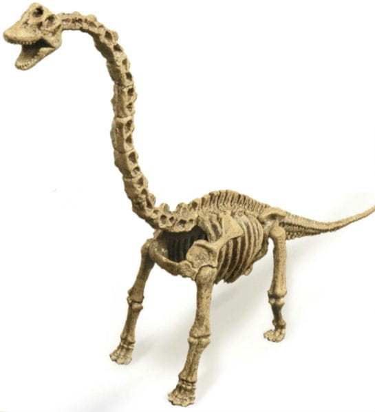 Jajo dinozaura szkielet BRACHIOSAURUS 28 cm Geoworld