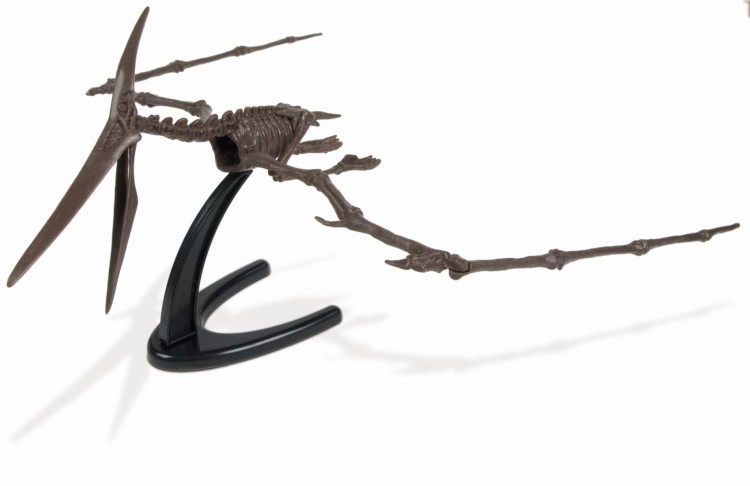 Szkielet PTERANODON 48 cm Wykopaliska dinozaur Geoworld 