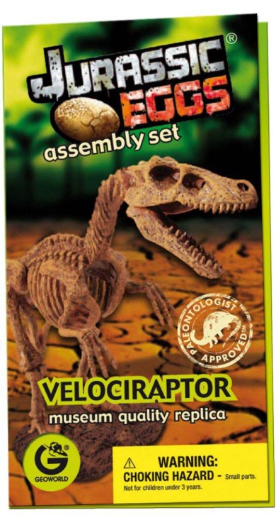 Jajo dinozaura szkielet VELOCIRAPTOR 27cm Geoworld
