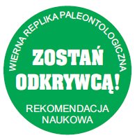Szkielet TYGRYS SZABLOZĘBNY 23cm Wyprawa Epoka Lodowcowa Geoworld